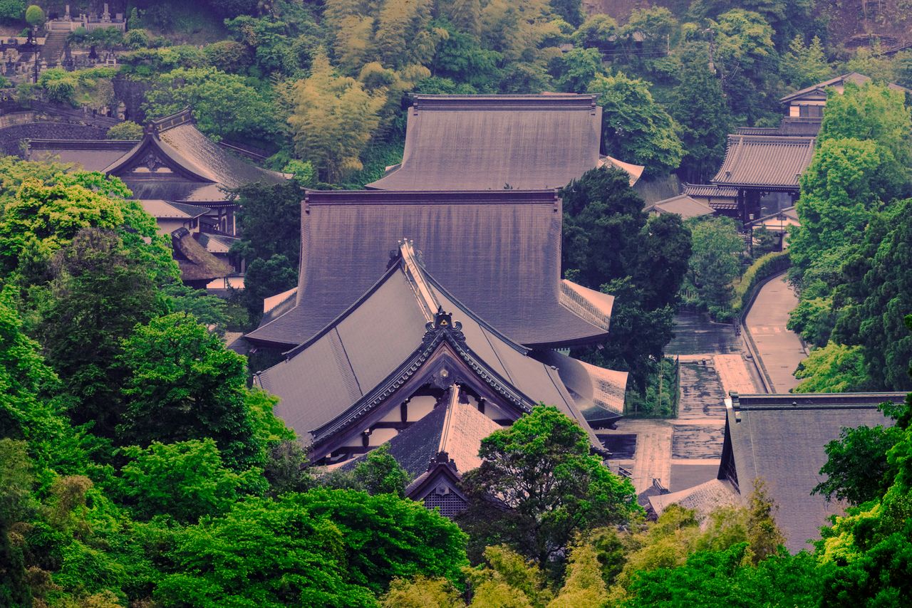 境内最奥の高台から一直線に並ぶ伽藍(がらん)を望む 写真=原田寛