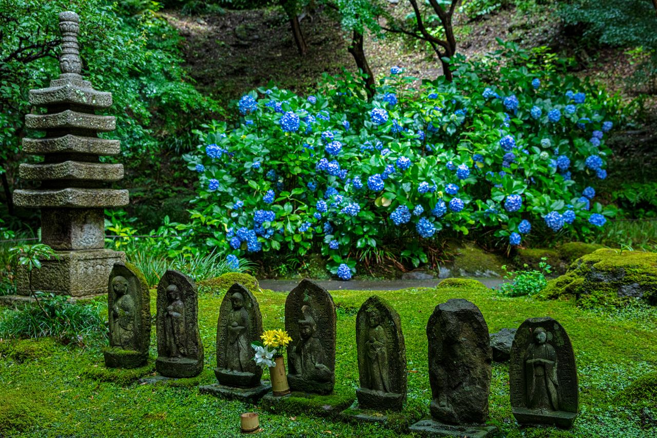 石仏の後ろに青や紫の花が咲く 写真=原田寛