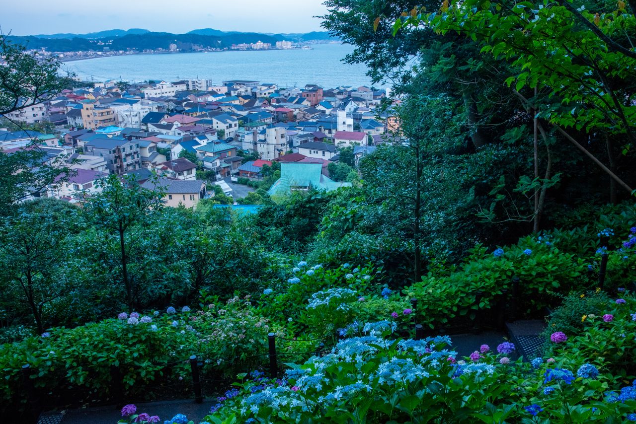 200段ほどの石段を上れば、「海光山」の山号にふさわしい眺めに出会える 写真=原田寛