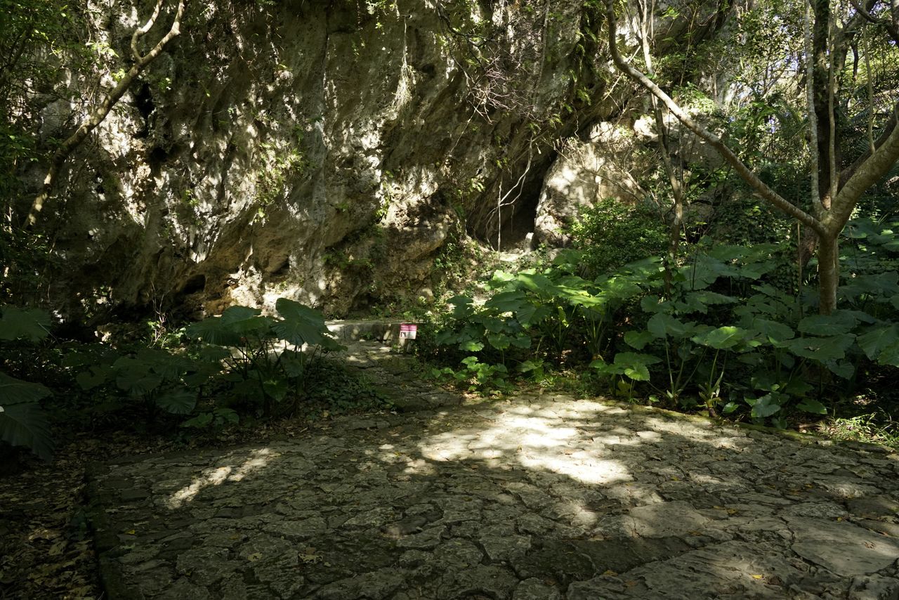 大広間という意味を持つ大庫理(うふぐーい)。岩の前面は祈りの場 撮影=大坂 寛