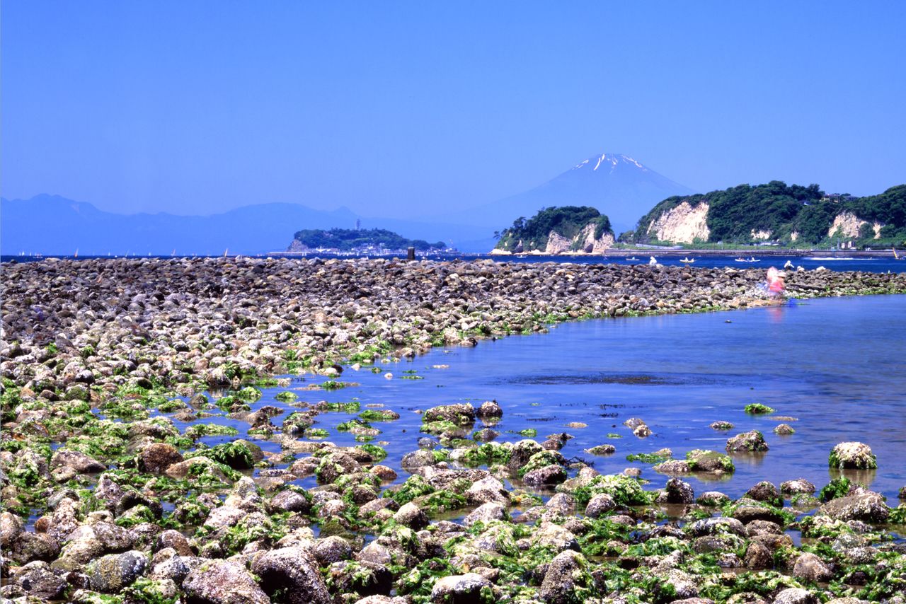 国の史跡に指定されている和賀江嶋 写真=原田寛